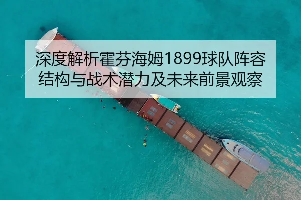 深度解析霍芬海姆1899球队阵容结构与战术潜力及未来前景观察